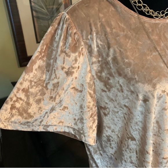 LUCKY BRAND NWT Champagne Crushed Velvet Flutter Sleeve Top 2X - Picture 5 of 8